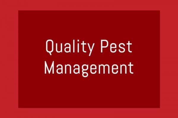 Palace Pest Control Articles -- Quality Pest Management2